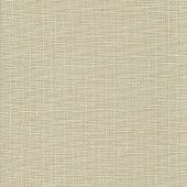 Tweed 13