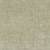 Evi voile 24