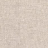 Timber 04