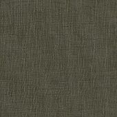 Timber 14