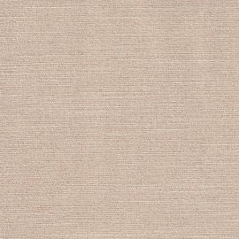 Lot 04
